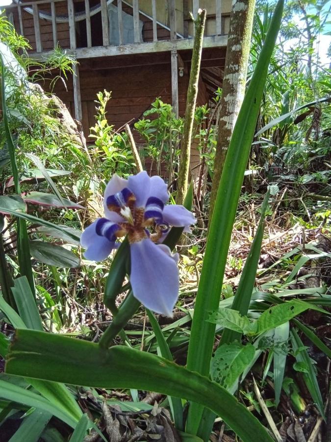 Hostal Azul Del Lago Agua Azul Ngoại thất bức ảnh